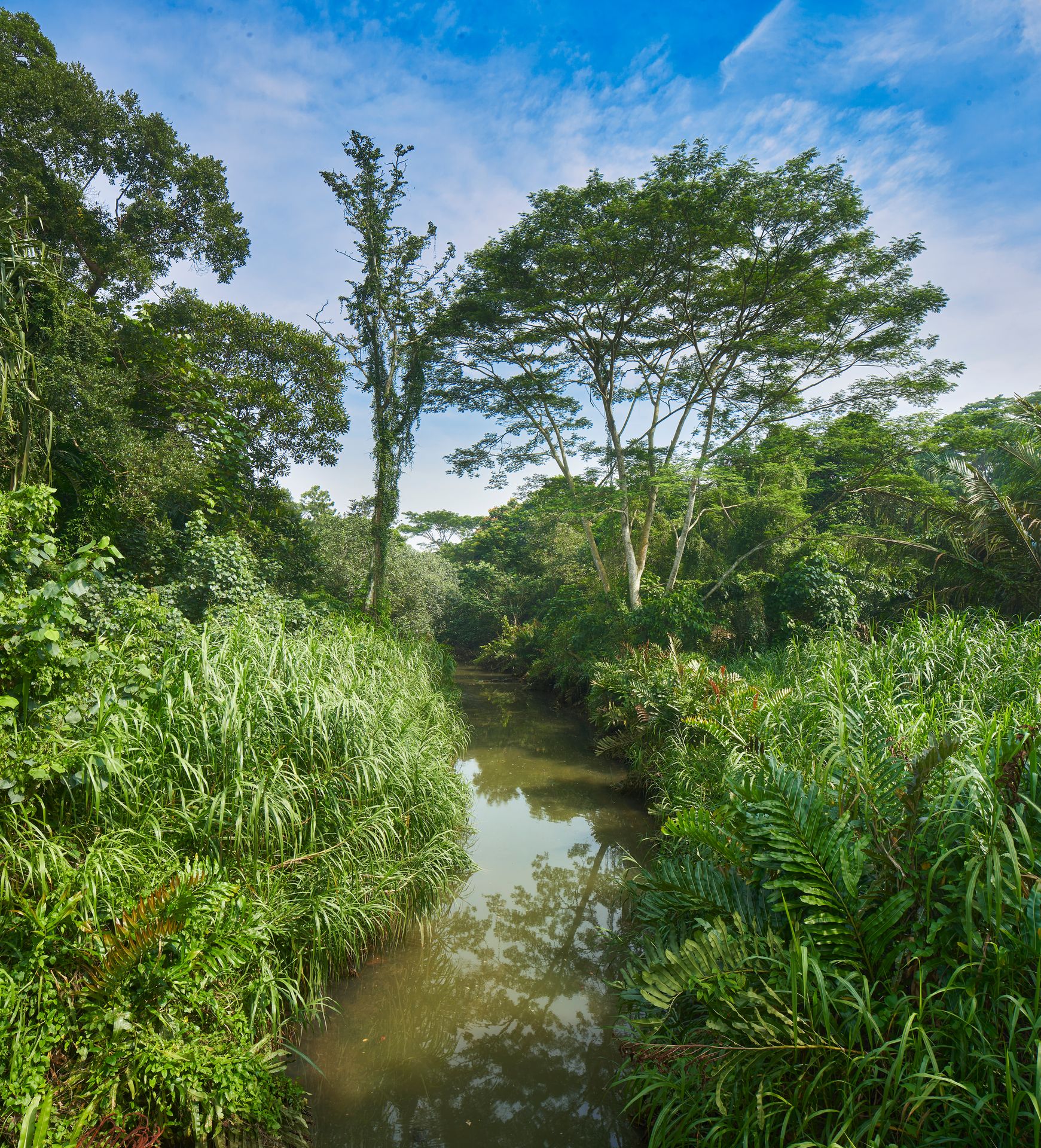 Woodlands has the largest park in the north, Admiralty Park, which opened in 2007. The name of this park is a reminder that the nearby area was once a naval base operated by the British Admiralty.